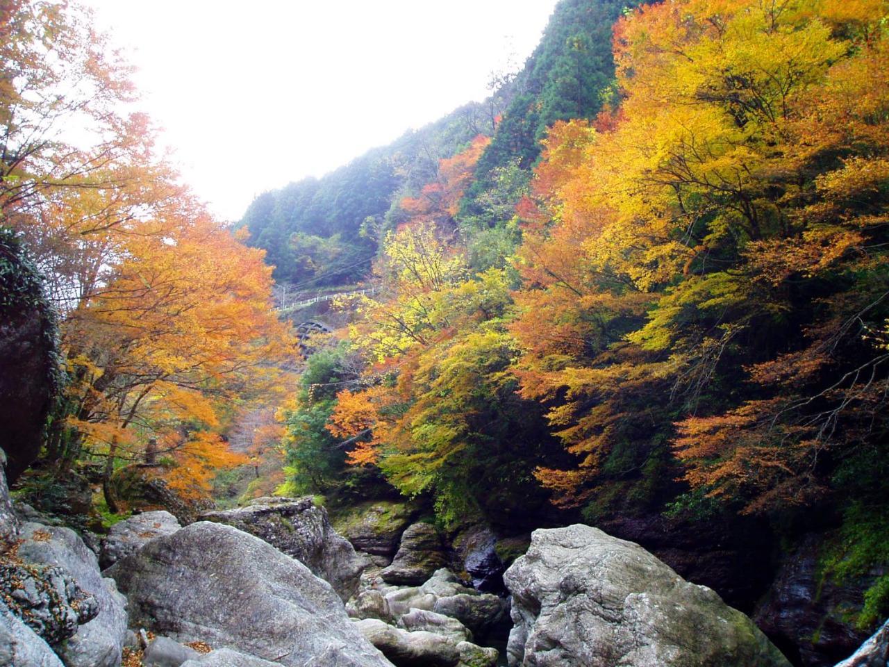 Nature Resort In Niyodo Niyodogawa Dış mekan fotoğraf