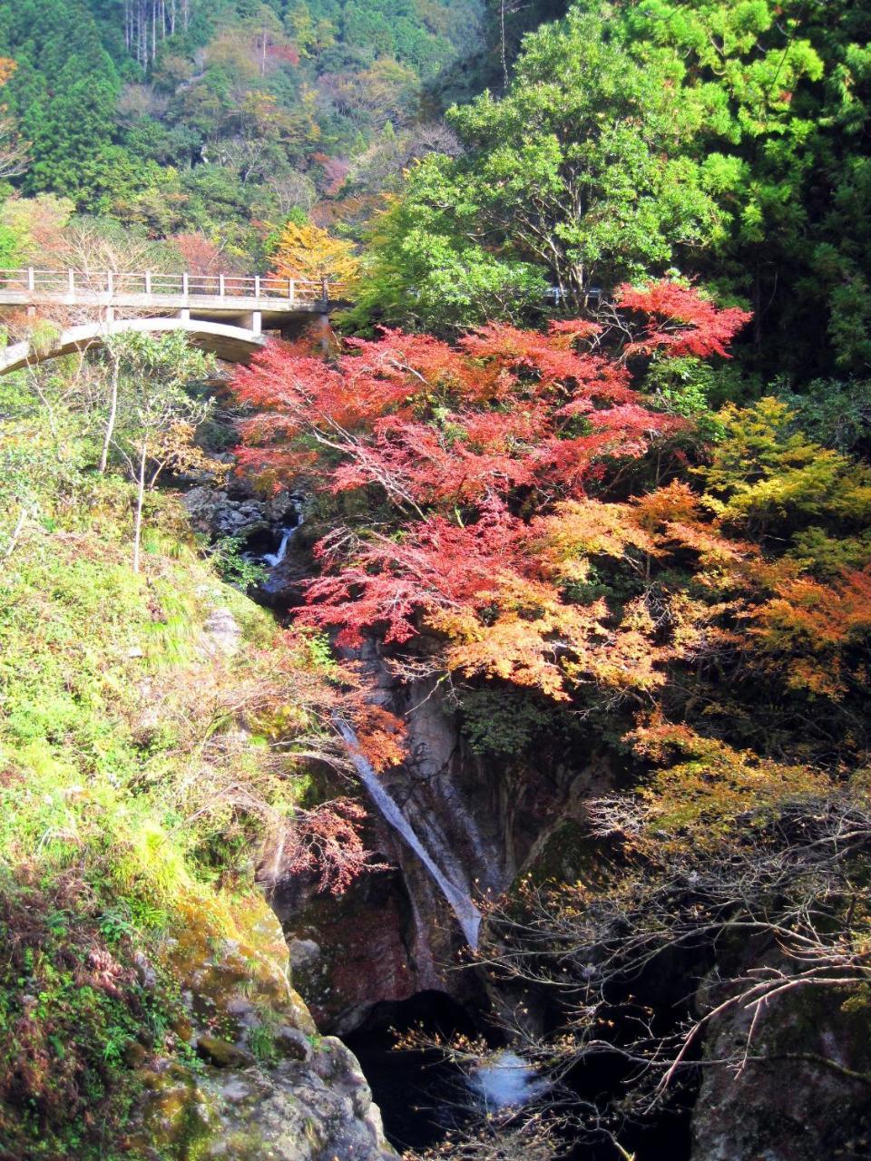 Nature Resort In Niyodo Niyodogawa Dış mekan fotoğraf